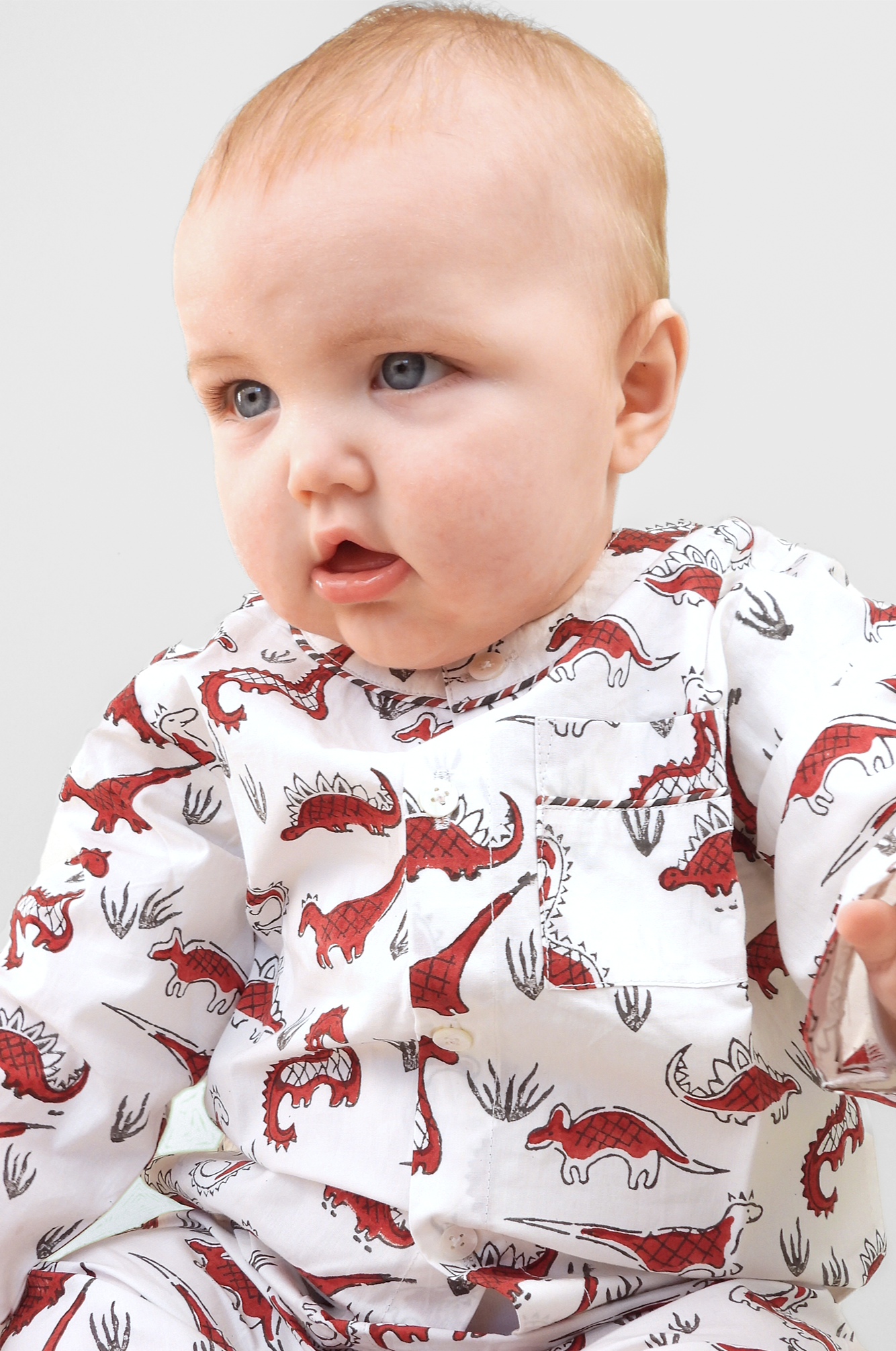 tag-a-saurus tales - organic cotton baby pyjama set
