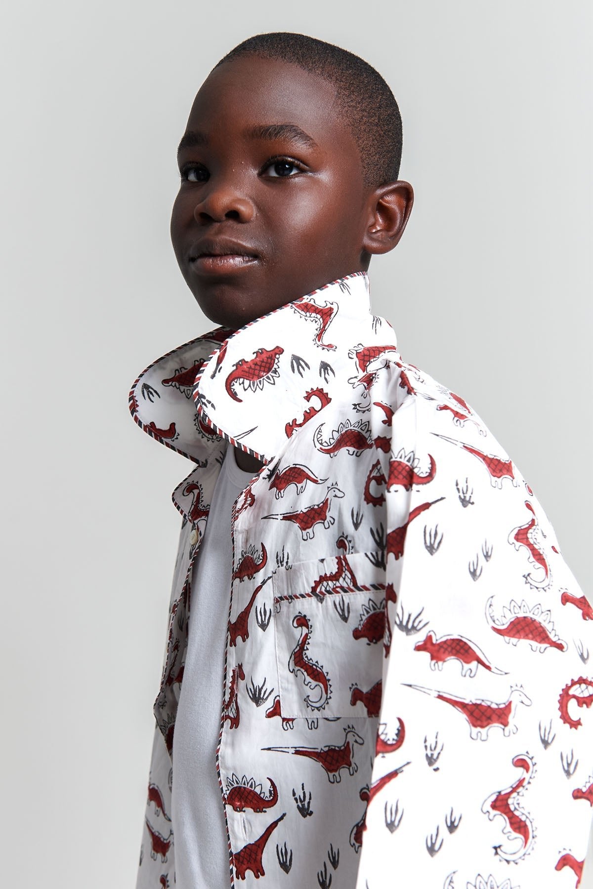 tag - a - saurus tales - organic cotton kids pyjama set - Kutti Lulu