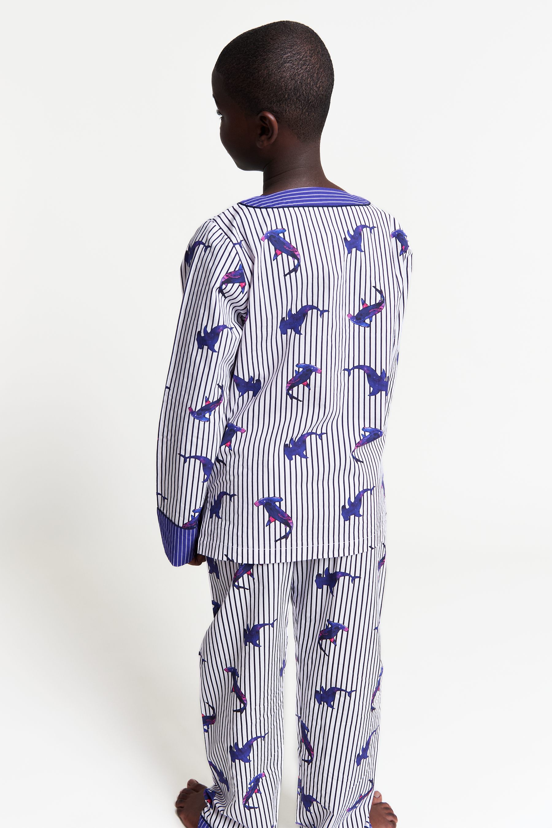 galactic sharkies